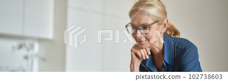 Concentrated mature businesswoman checking email using laptop computer and drinking coffee in the morning, standing in the kitchen at home Concentrated mature businesswoman checking email using laptop computer and drinking coffee in the morning, standing in the kitchen at home 102738603