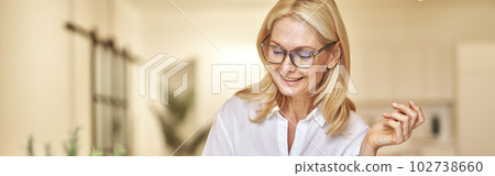 Attractive mature businesswoman smiling and making notes while having online video call using laptop, sitting at her desk in the office Attractive mature businesswoman smiling and making notes while having online video call using laptop, sitting at her desk in the office 102738660