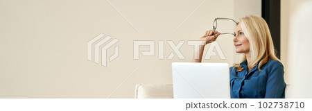 Pensive mature businesswoman smiling away while working from home, sitting on a couch in modern apartment 102738710