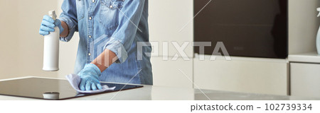 Smiling mature housewife in rubber gloves looking busy while cleaning kitchen surface using cloth and spray detergent at home in the daytime 102739334