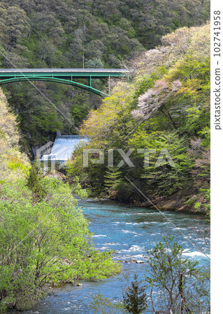 胎內川風光 胎內川風光 102741958