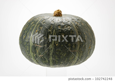 美味的南瓜 美味的南瓜 102742248