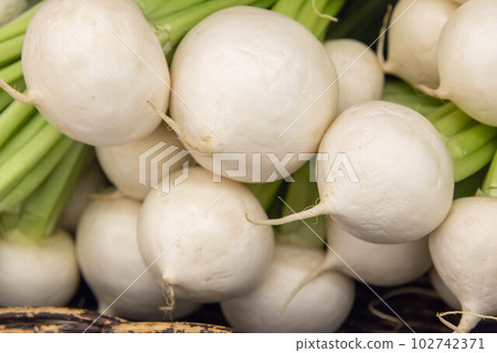 fresh and delicious turnip fresh and delicious turnip 102742371