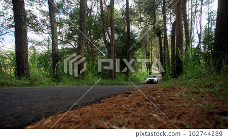 Mercedes on a beautiful road 102744289