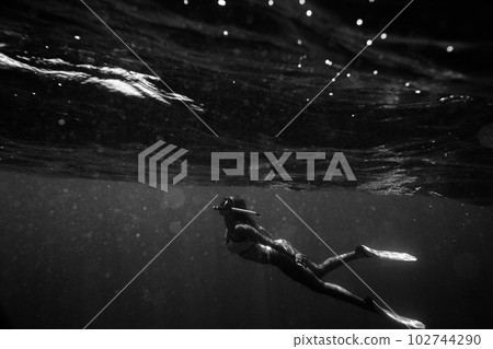 shooting underwater 102744290