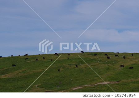 Utsukushigahara Ranch in Utsukushigahara Highlands 102745954