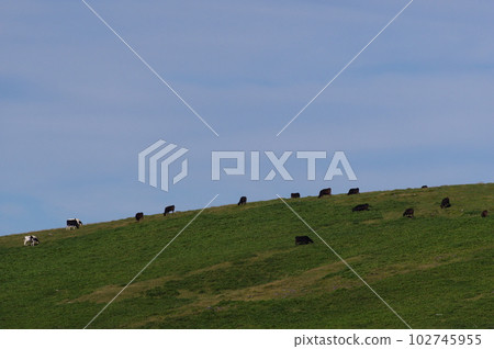 Utsukushigahara Ranch in Utsukushigahara Highlands Utsukushigahara Ranch in Utsukushigahara Highlands 102745955