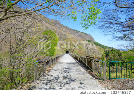 春天的臼井三橋,群馬縣安中市梅金橋 春天的臼井三橋,群馬縣安中市梅金橋 102746537