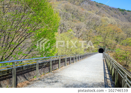 Usui 3rd Bridge in Spring, Megane Bridge, Annaka City, Gunma Prefecture Usui 3rd Bridge in Spring, Megane Bridge, Annaka City, Gunma Prefecture 102746539