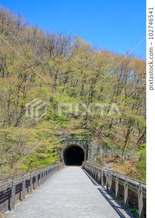 Usui 3rd Bridge in Spring, Megane Bridge, Annaka City, Gunma Prefecture Usui 3rd Bridge in Spring, Megane Bridge, Annaka City, Gunma Prefecture 102746541