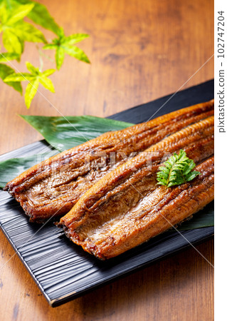 2 eels 2 eels 102747204