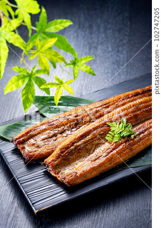 Grilled eel 102747205