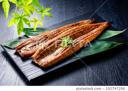 Grilled eel Grilled eel 102747208