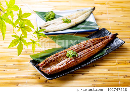 鰻魚 鰻魚 102747218