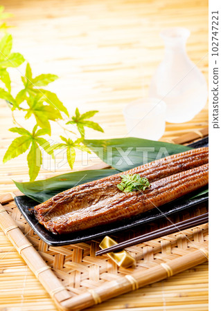 Grilled eel 102747221