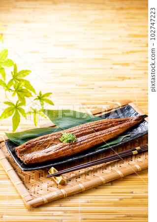 Grilled eel 102747223
