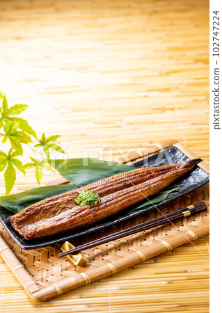 Grilled eel 102747224
