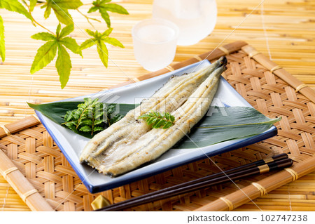 Grilled Eel Grilled Eel 102747238
