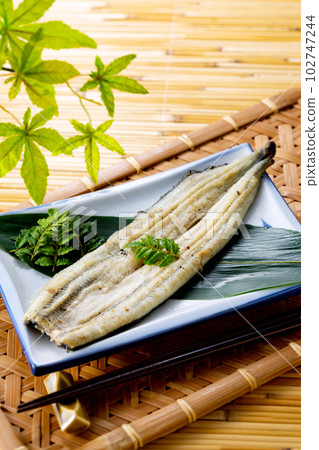 烤鰻魚 102747244