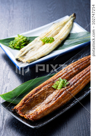 Two colors of eel luxurious 102747254