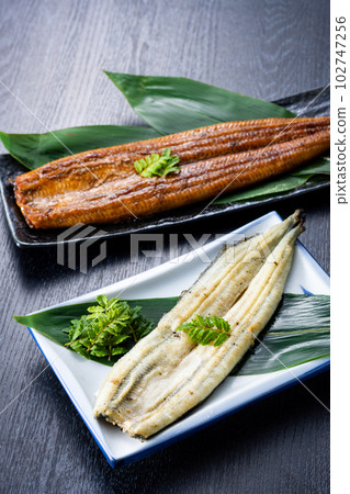 鰻魚豪華二色 鰻魚豪華二色 102747256