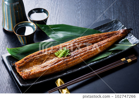 黑色背景中的烤鰻魚 102747266