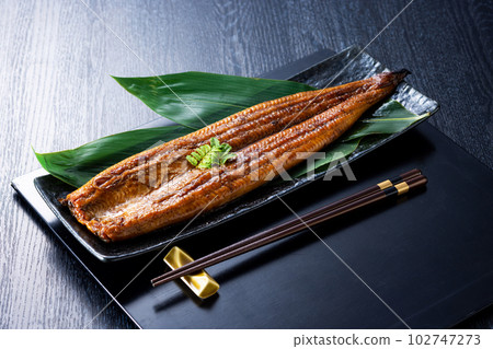 Grilled eel in black background 102747273