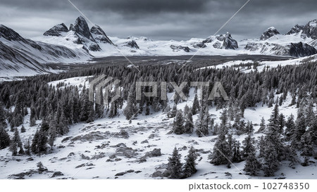 AI-generated image / Polar landscape Forest 1 AI-generated image / Polar landscape Forest 1 102748350