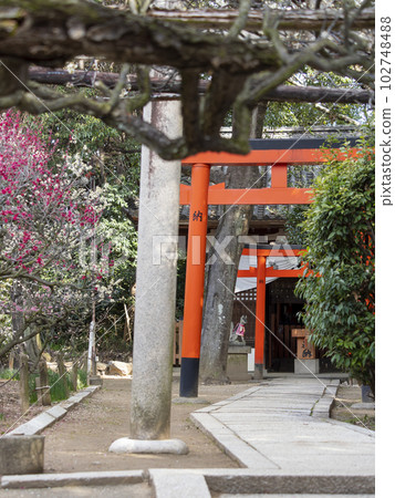 和果稻荷神社的鳥居門和守護狐狸 和果稻荷神社的鳥居門和守護狐狸 102748488