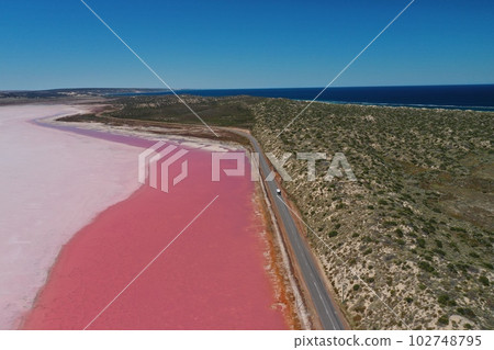 Aerial view of Pink Lake 102748795