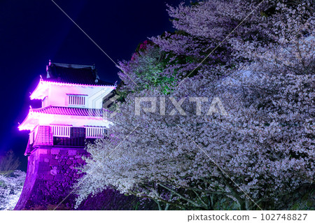 長崎縣大村市的大村公園在春天點亮 長崎縣大村市的大村公園在春天點亮 102748827