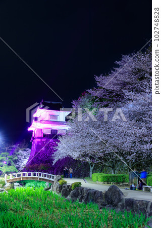Omura Park lit up in spring, Omura City, Nagasaki Prefecture Omura Park lit up in spring, Omura City, Nagasaki Prefecture 102748828