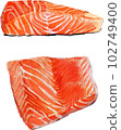 Salmon fillet jug style vector illustration set 102749400