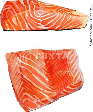 Salmon fillet jug style vector illustration set Salmon fillet jug style vector illustration set 102749400