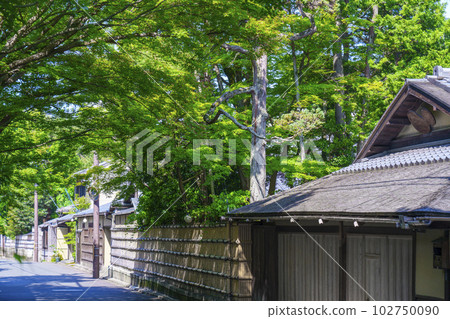 Kyoto: A fence along the road in front of Murin-an (Nanzenji Kusagawa-cho, Sakyo-ku, Kyoto) Kyoto: A fence along the road in front of Murin-an (Nanzenji Kusagawa-cho, Sakyo-ku, Kyoto) 102750090