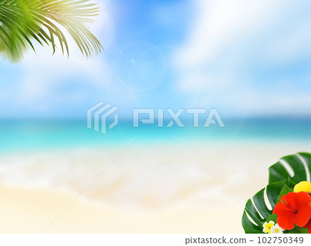 Tropical atmosphere background material Tropical atmosphere background material 102750349