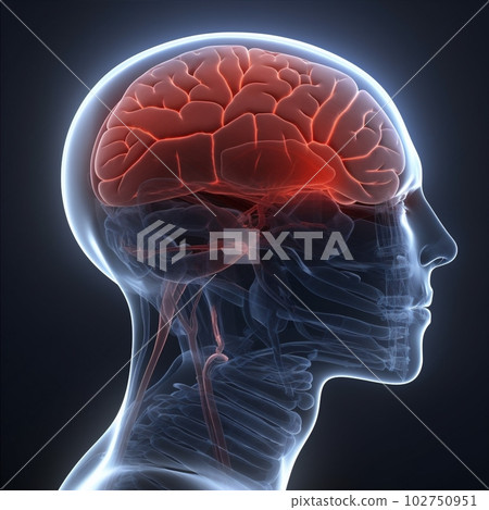 x-ray medicine medical pain headache brain red - Stock Illustration  [102750951] - PIXTA