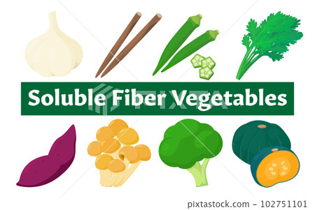 Vector illustration of vegetables with soluble dietary fiber. 102751101