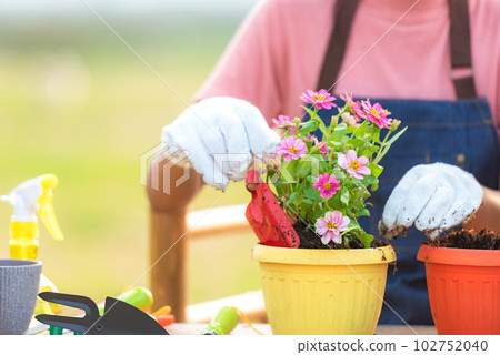 Close up hand gardener woman help afforest and water the plant 102752040