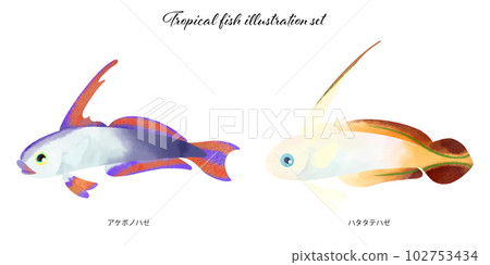 Tropical fish illustration material set 102753434