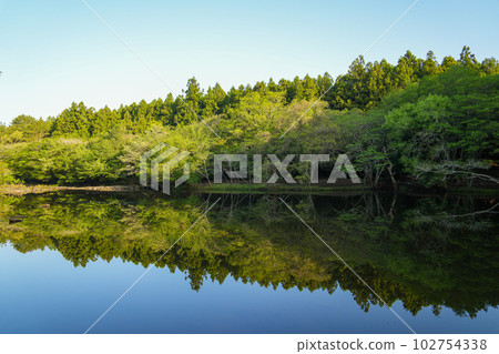 Lakeside surrounded by a secluded and beautiful forest 102754338