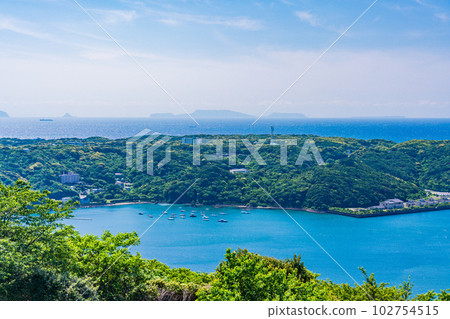 (Shizuoka Prefecture) Shimoda Port seen from Nesugatayama Observatory 102754515