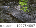 水流經山谷 102754607