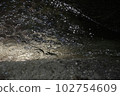 水流經山谷 102754609