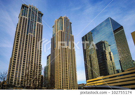 加拿大多倫多的城市景觀 102755174
