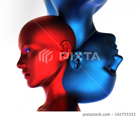 3d render. Merger of a male blue head and a red female head on a white background.  102755352