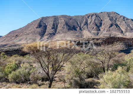 The Namibian Desert 102755553