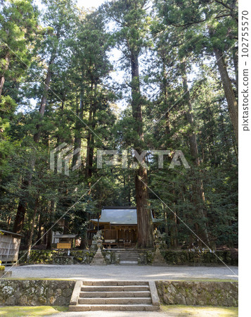 Worship hall and sacred tree of Ryuketsu Shrine 102755570