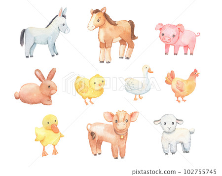 Cute baby donkey, lamb and chicken isolated on white. Watercolor farm animals set. Cute baby donkey, lamb and chicken isolated on white. Watercolor farm animals set. 102755745
