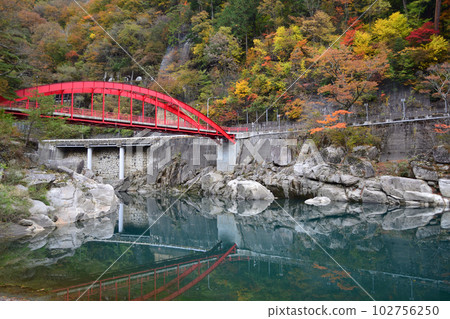 Kiso Pier and Autumn Leaves 102756250
